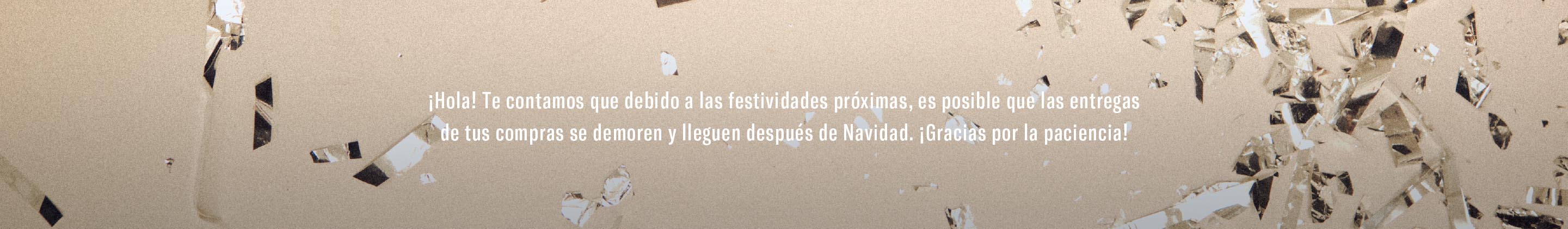 Envios demorados carrito banner desktop 1766500481