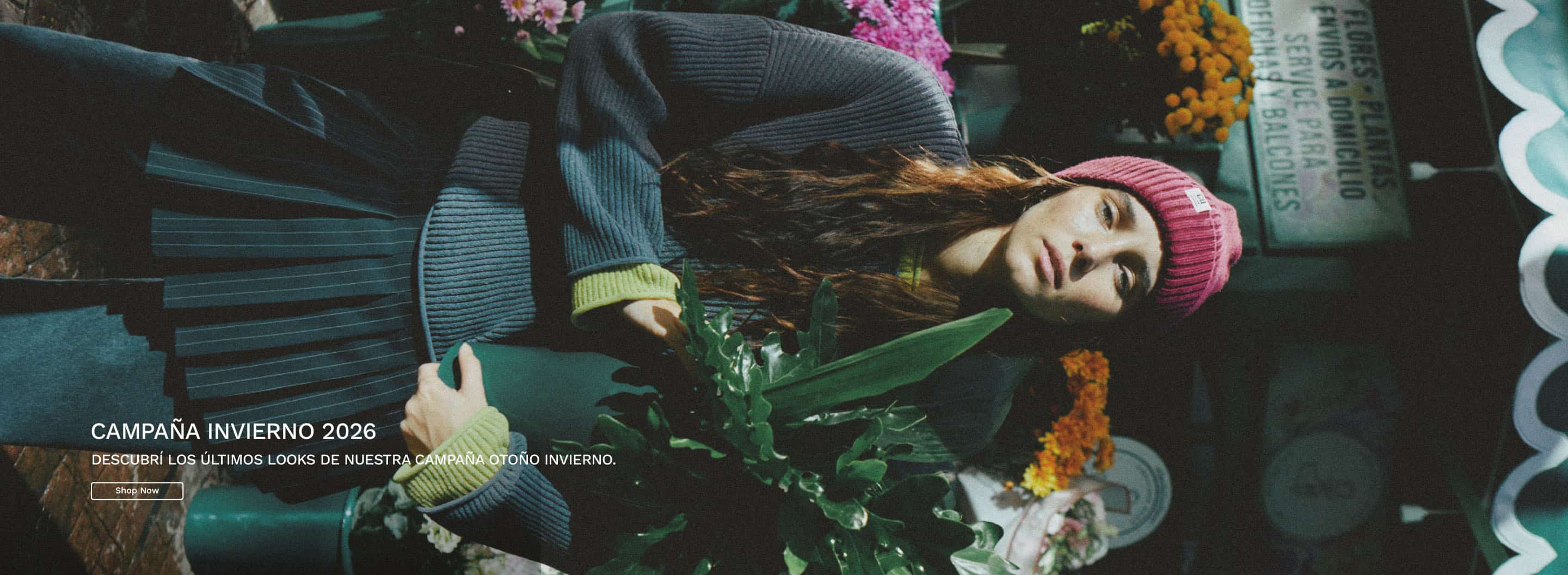 Imag cat campa a 1 1775661269