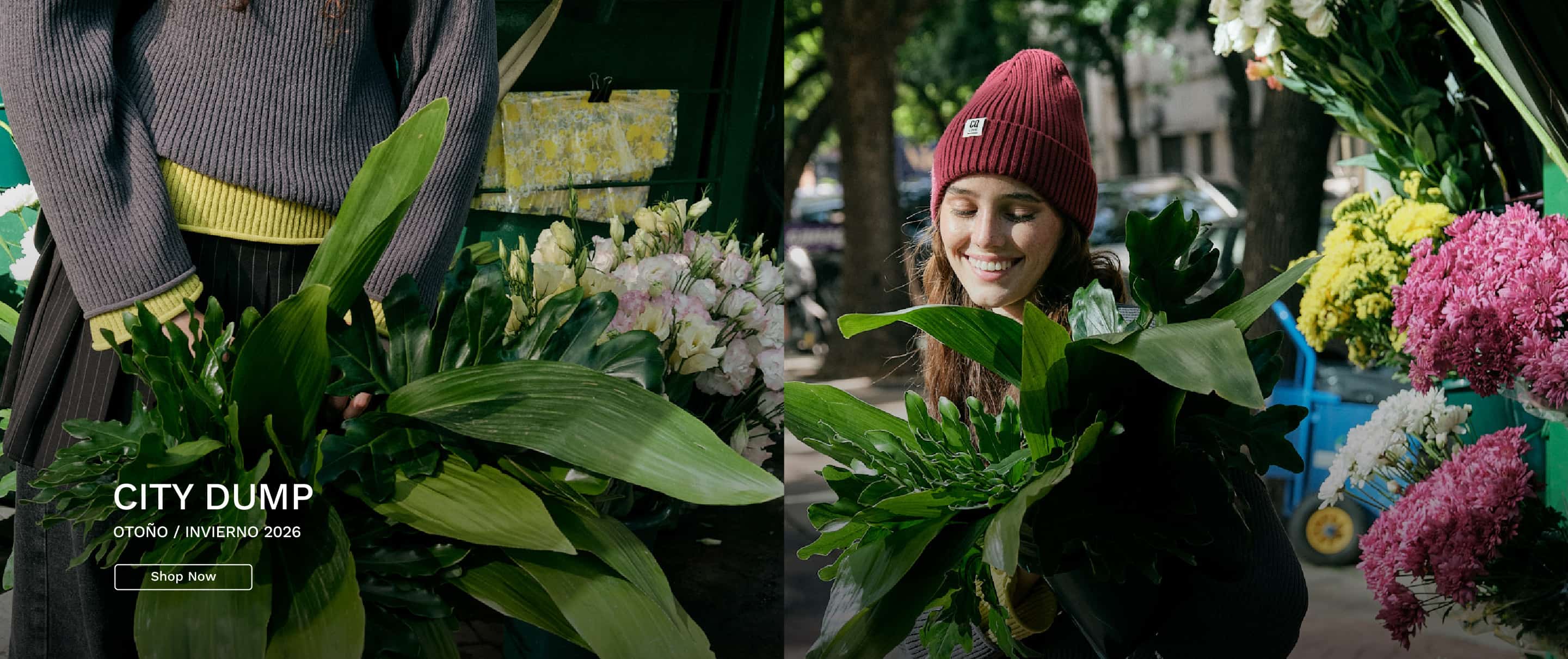 Nuevo gral ppal desktop 2 1 1774286520